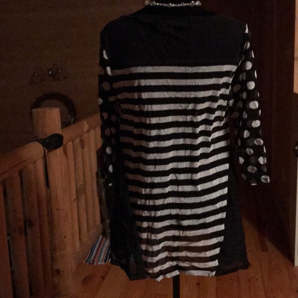 Lynn Rictchie Sheer Tunic🦓 - Picture 2 of 8